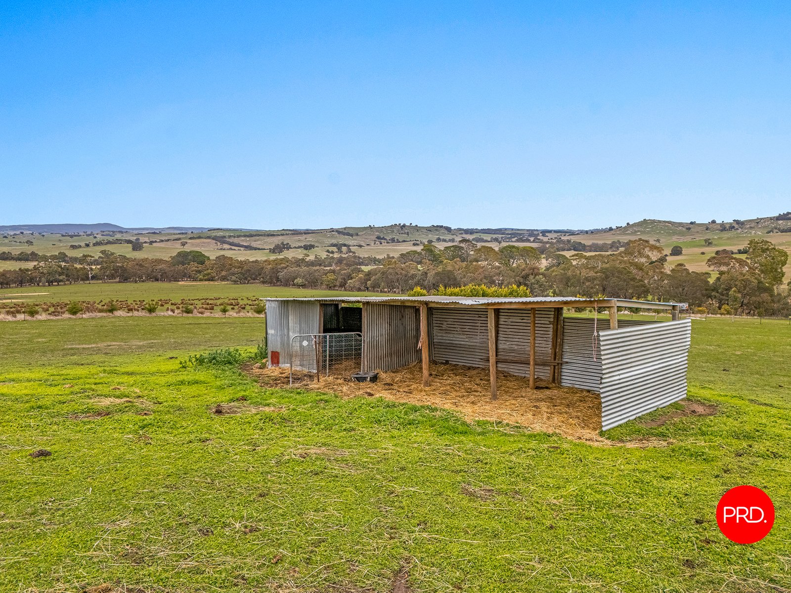 225 Moores Lane PYALONG 20