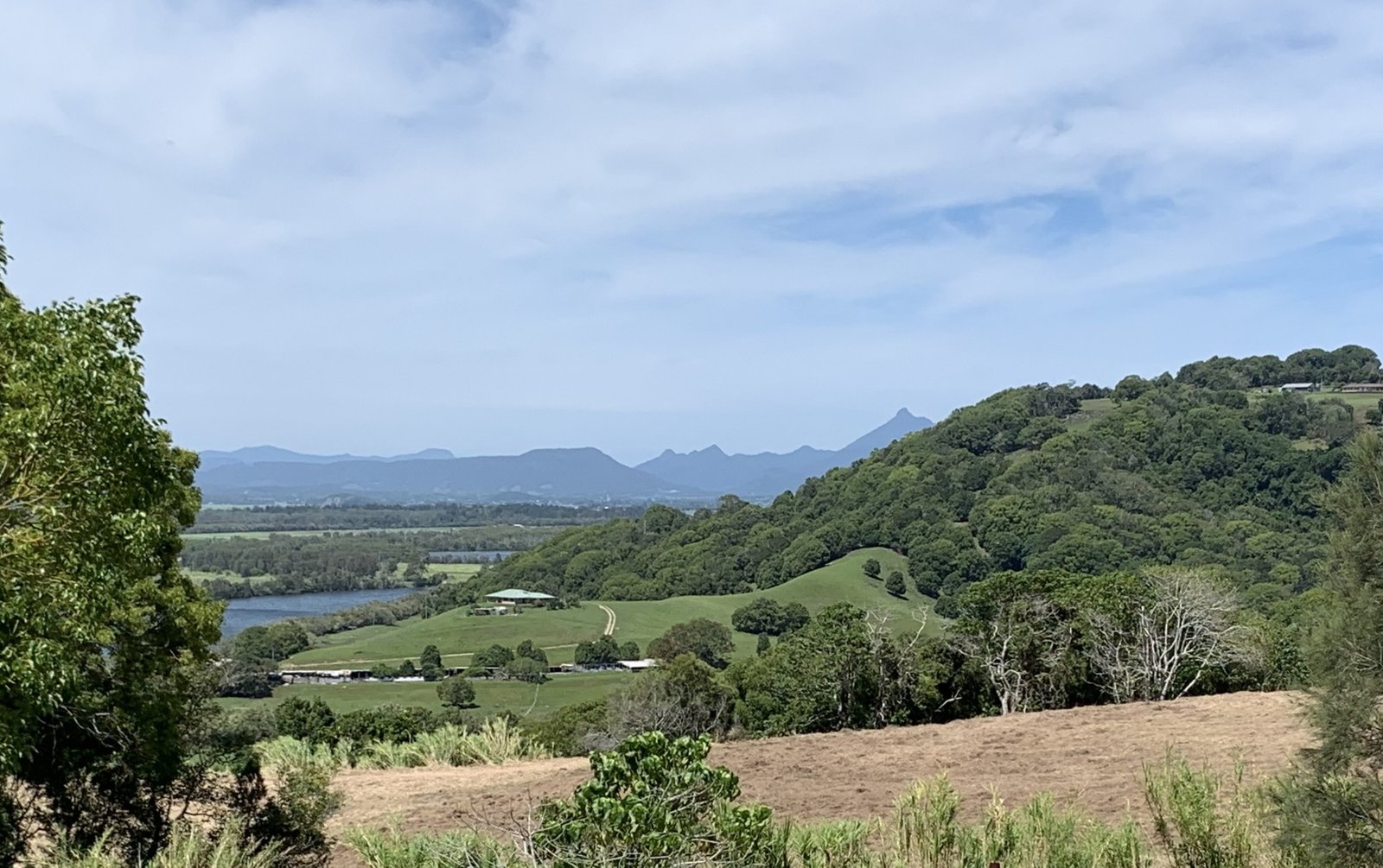 225 Terranora Road BANORA POINT 5