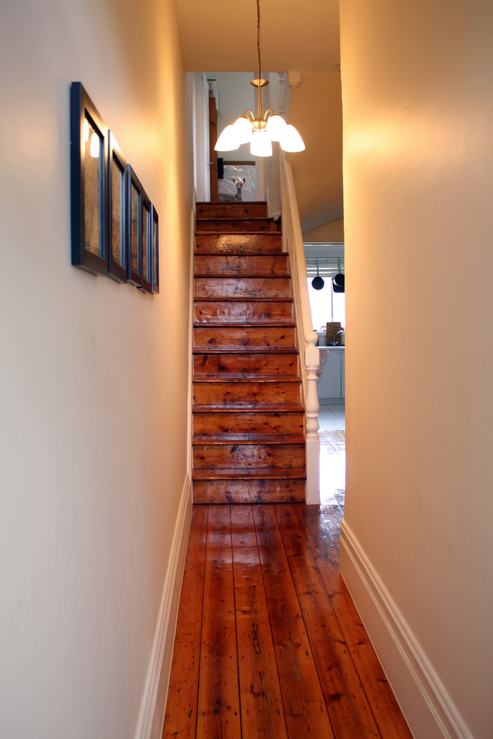 Gallery: 226 Ferrars Street