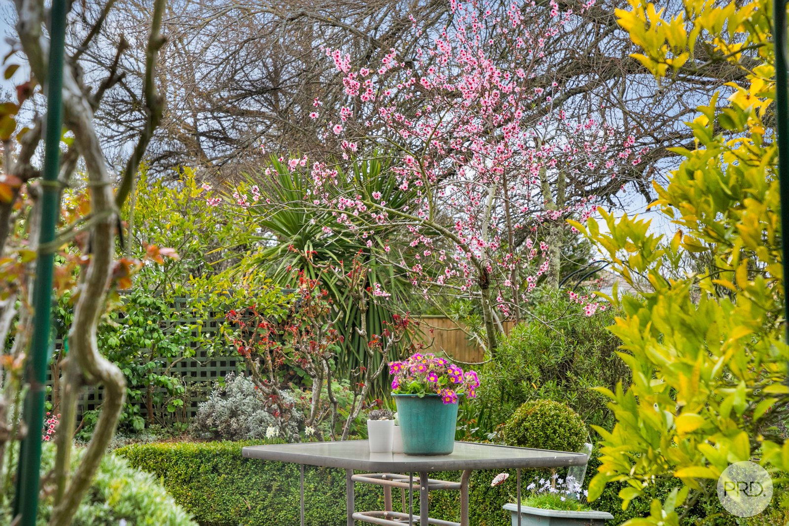 226 Forest Street WENDOUREE 22