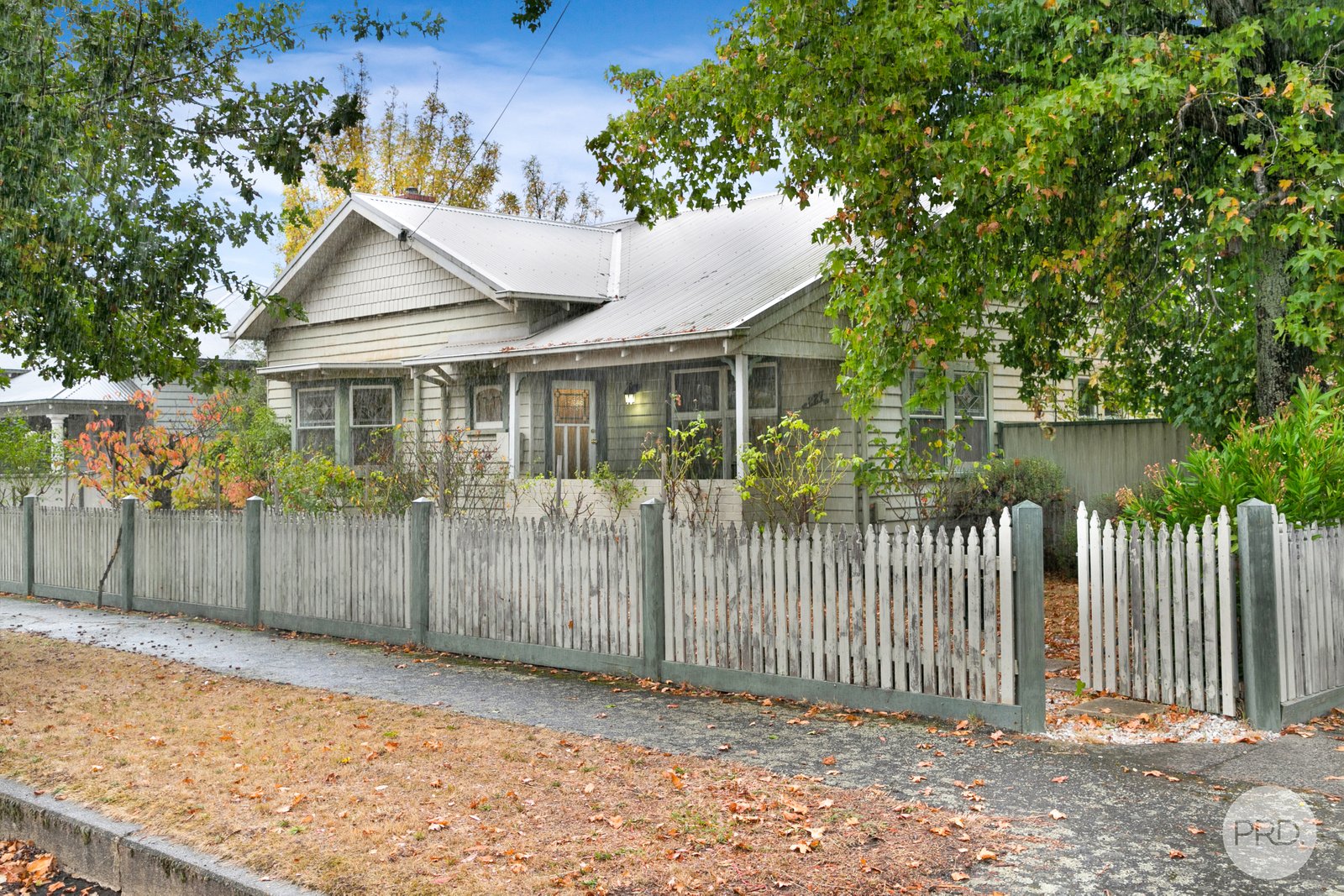 227 Clyde Street SOLDIERS HILL 15