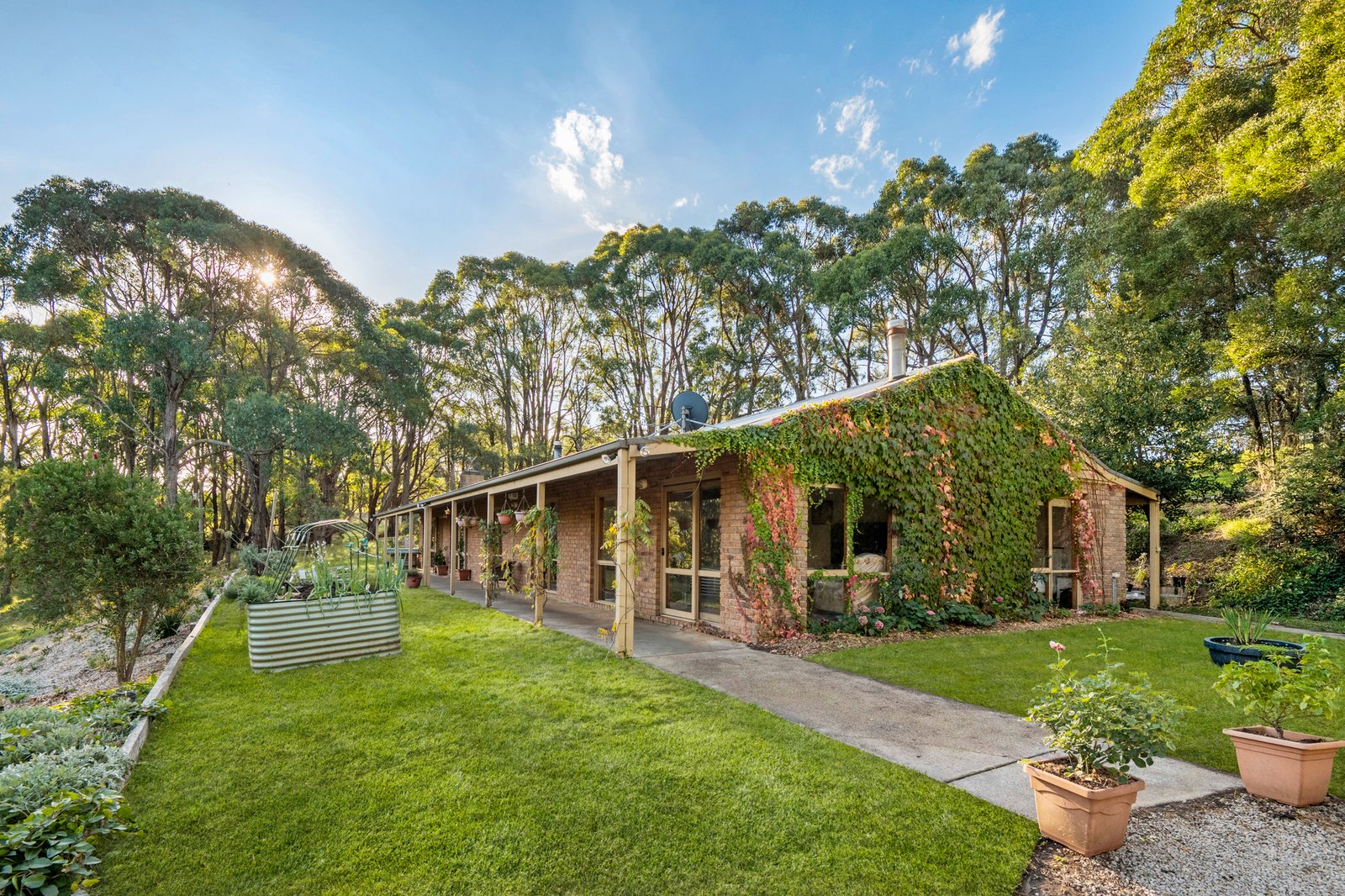 Gallery: 227 Main Creek Road