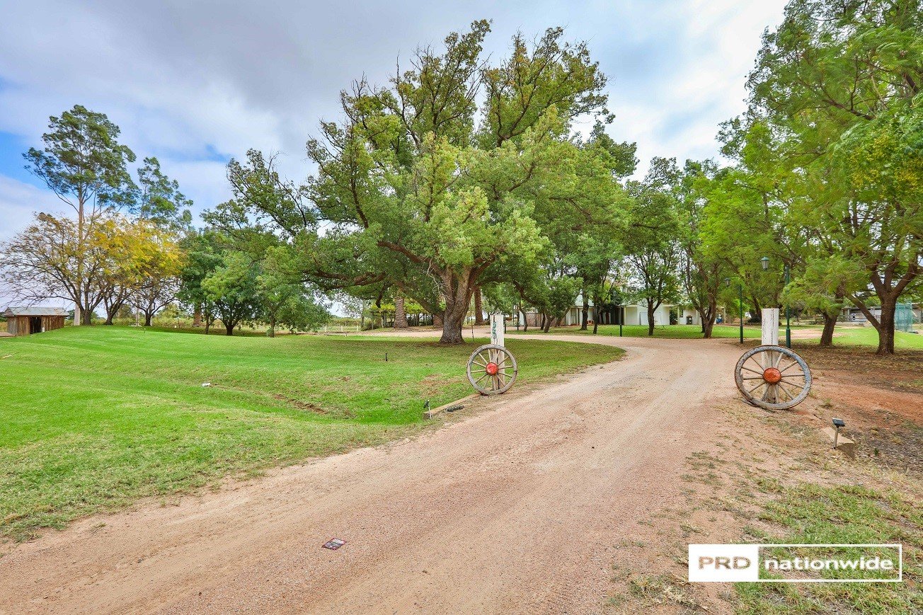 228 Myall Street CARDROSS 1