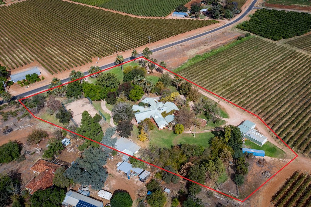 228 Myall Street CARDROSS 23