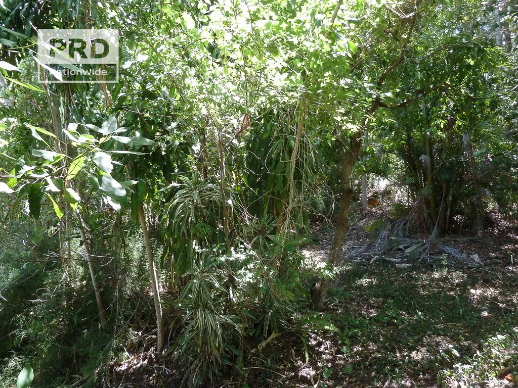 228 Summerland Way KYOGLE 20