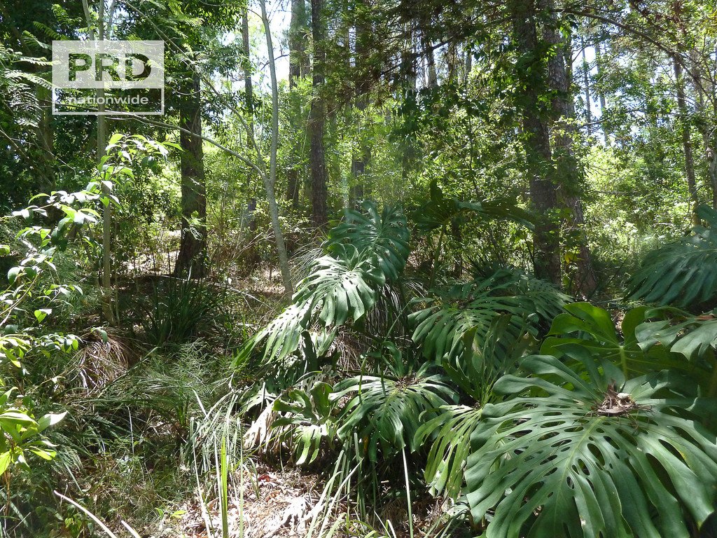 228 Summerland Way KYOGLE 22