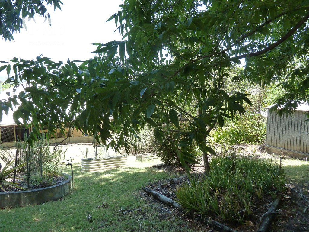 228 Summerland Way KYOGLE 23