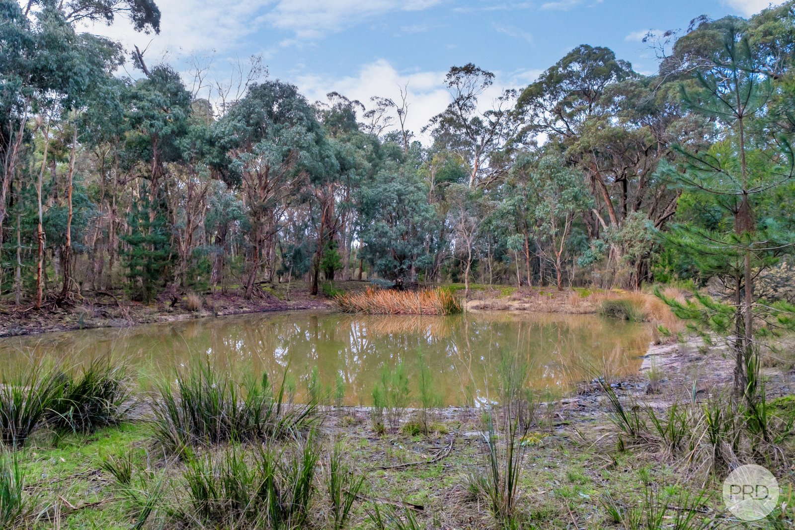 2280 Glenelg Highway SCARSDALE 20