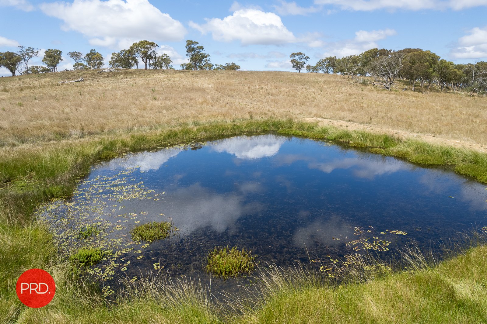 2287 Bungendore Road TARAGO 1