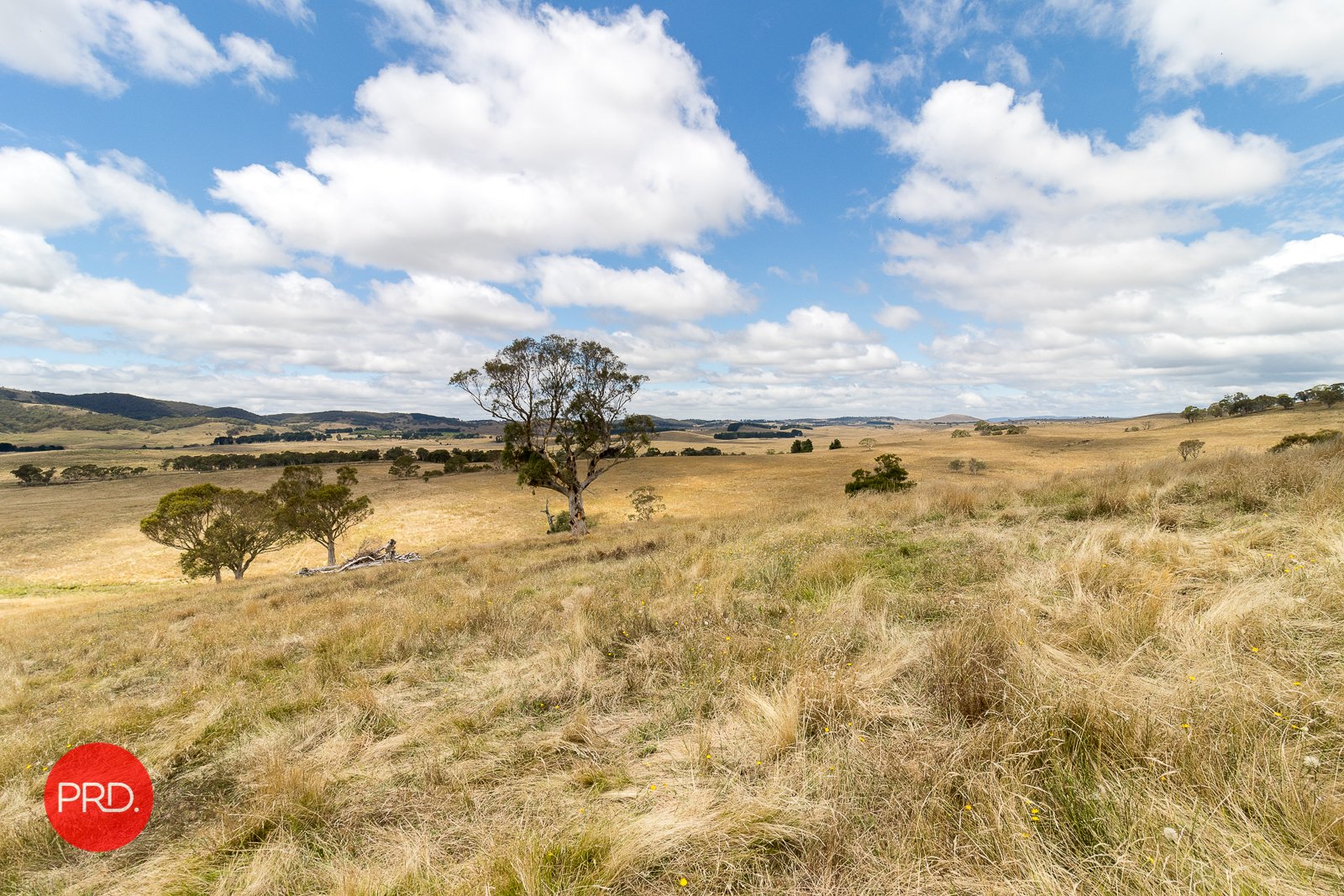 2287 Bungendore Road TARAGO 2