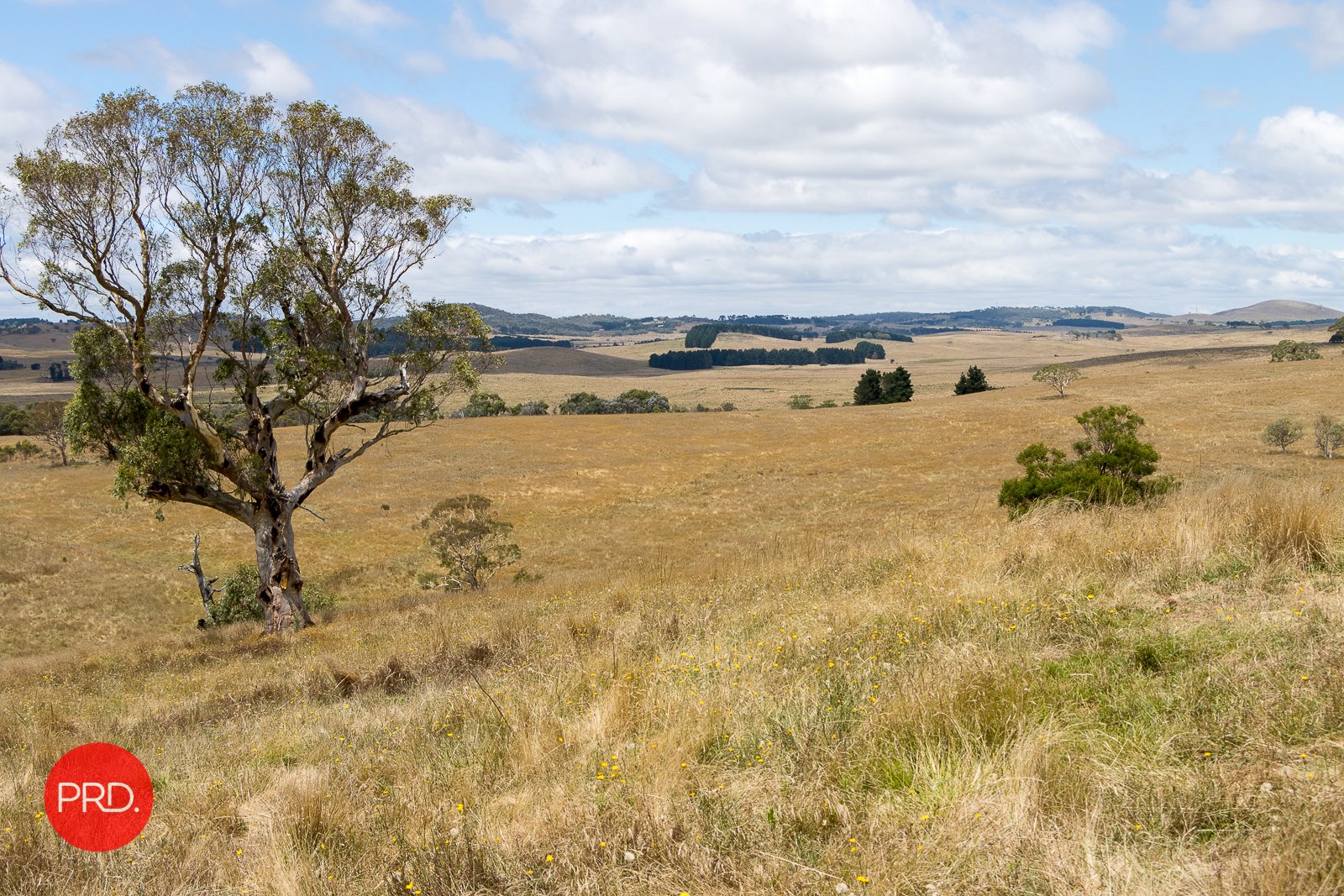 2287 Bungendore Road TARAGO 4