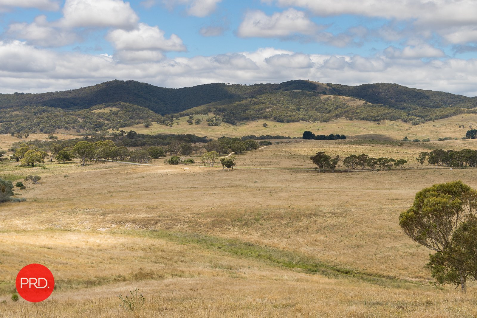 2287 Bungendore Road TARAGO 5