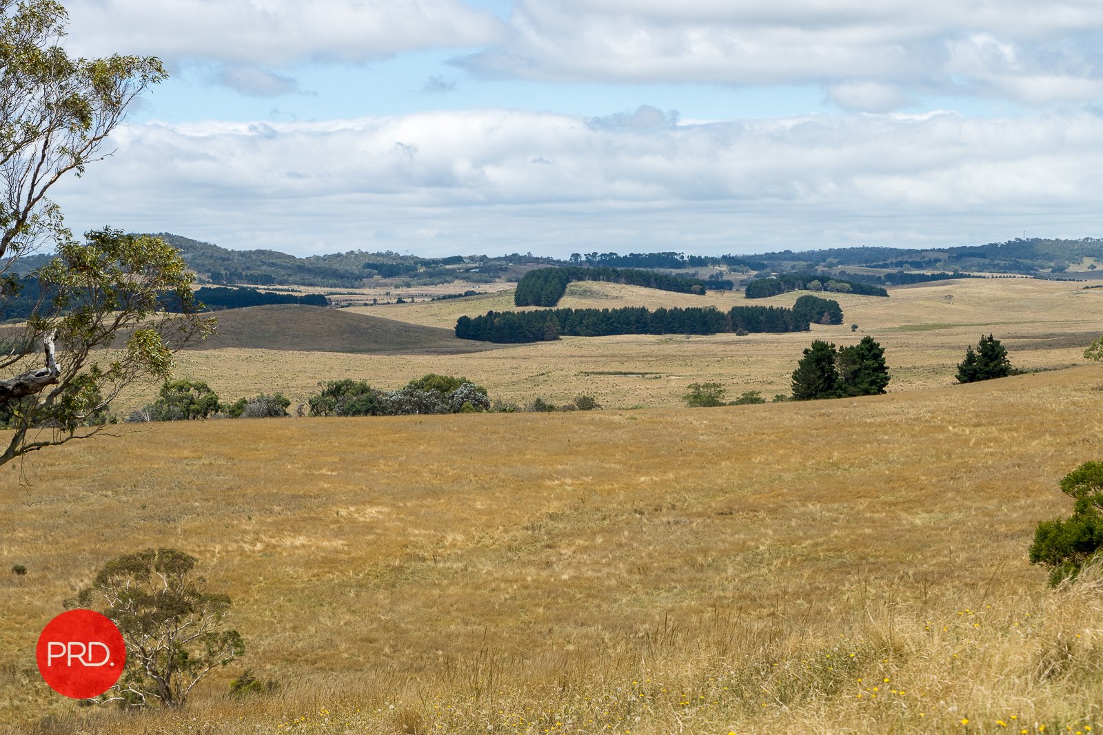 2287 Bungendore Road TARAGO 6