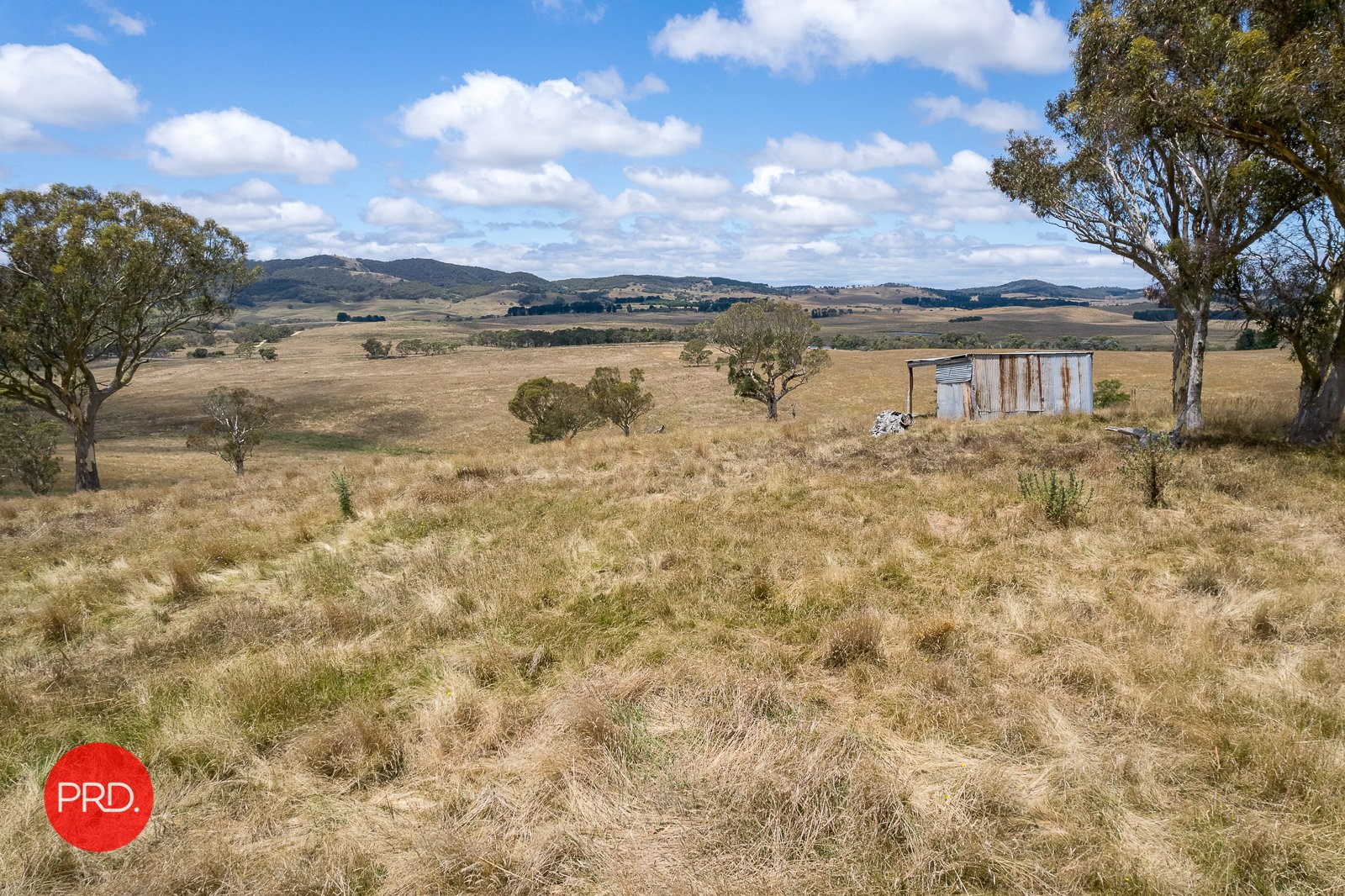 2287 Bungendore Road TARAGO 8
