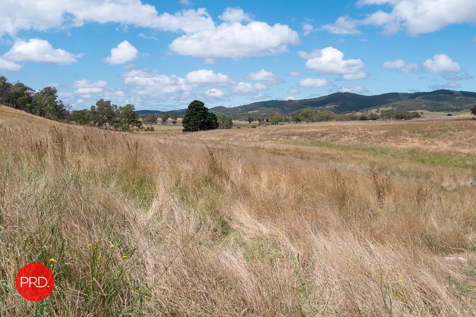 2287 Bungendore Road TARAGO 9