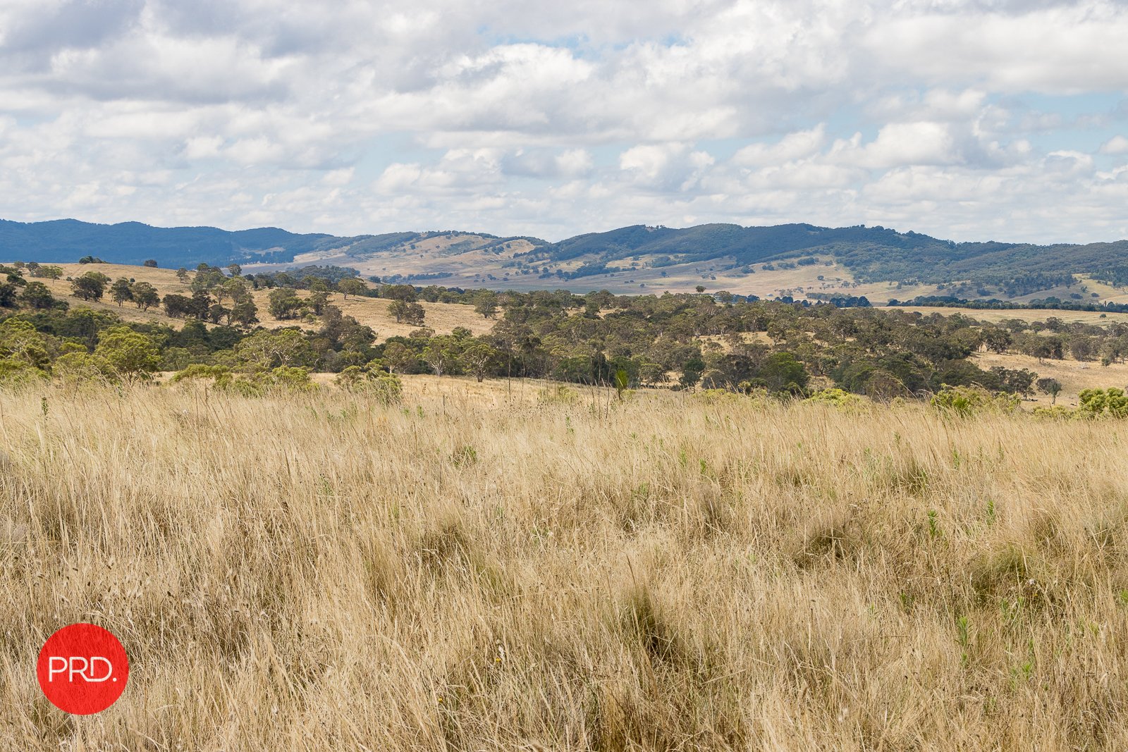 2287 Bungendore Road TARAGO 10