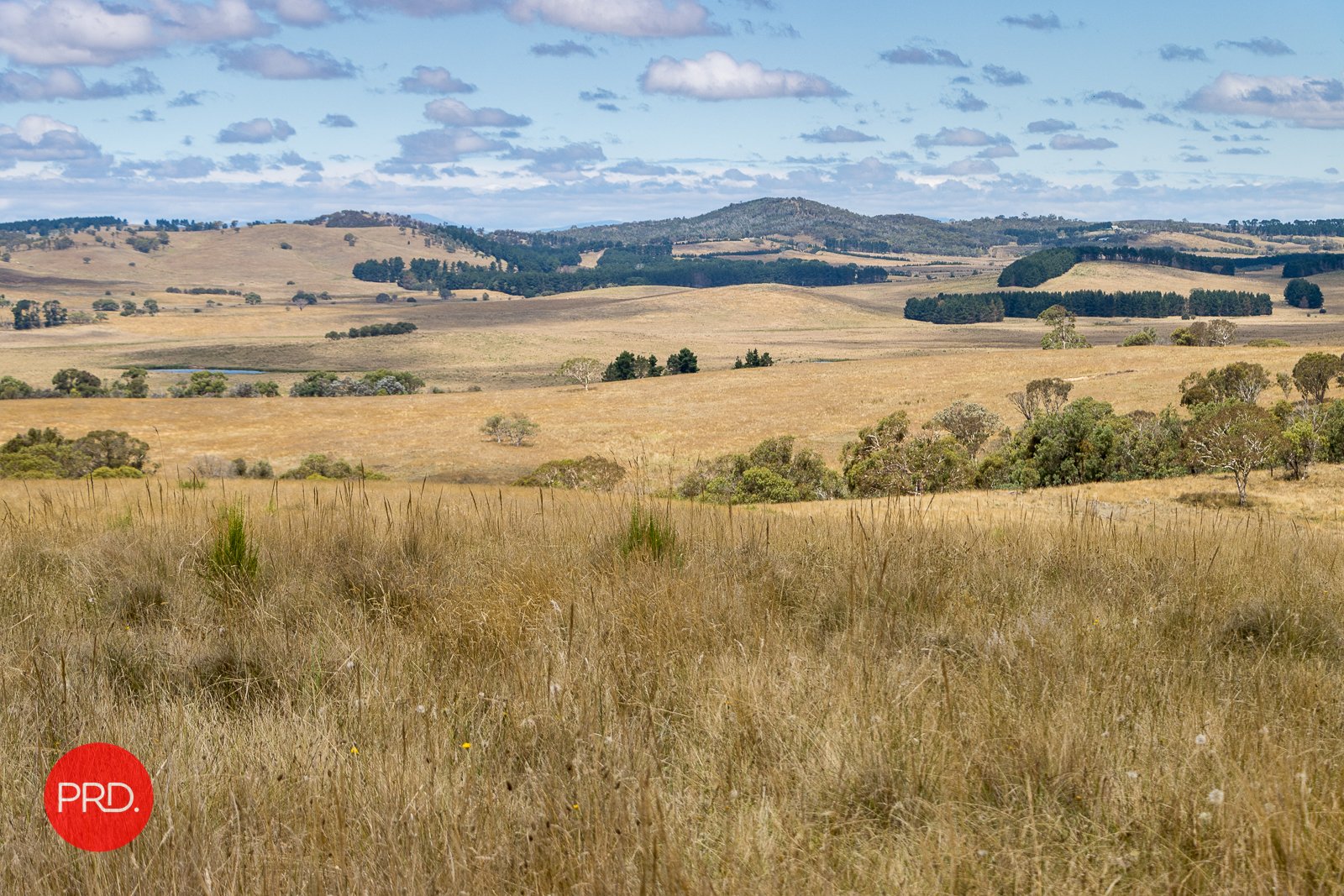 2287 Bungendore Road TARAGO 11