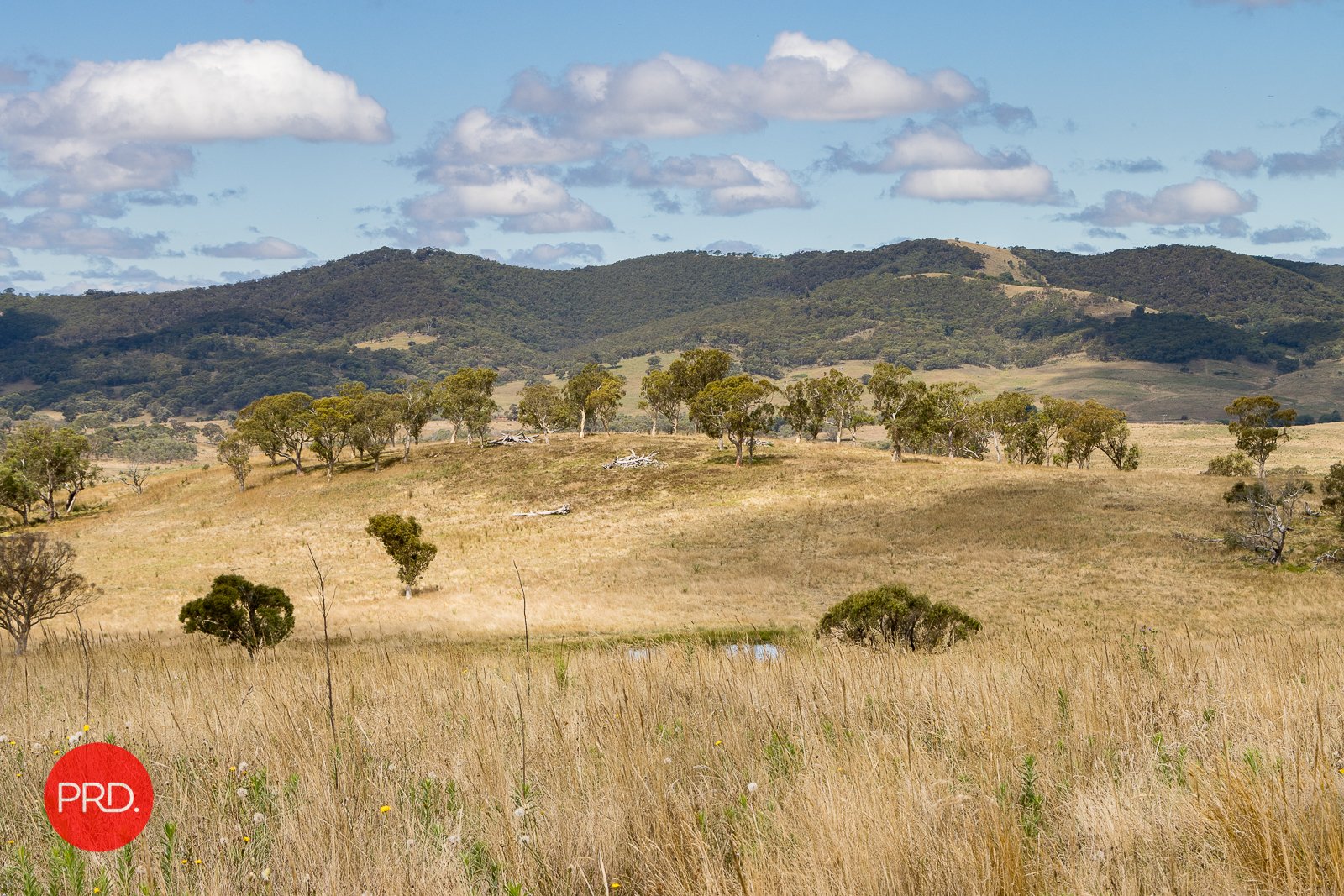 2287 Bungendore Road TARAGO 12