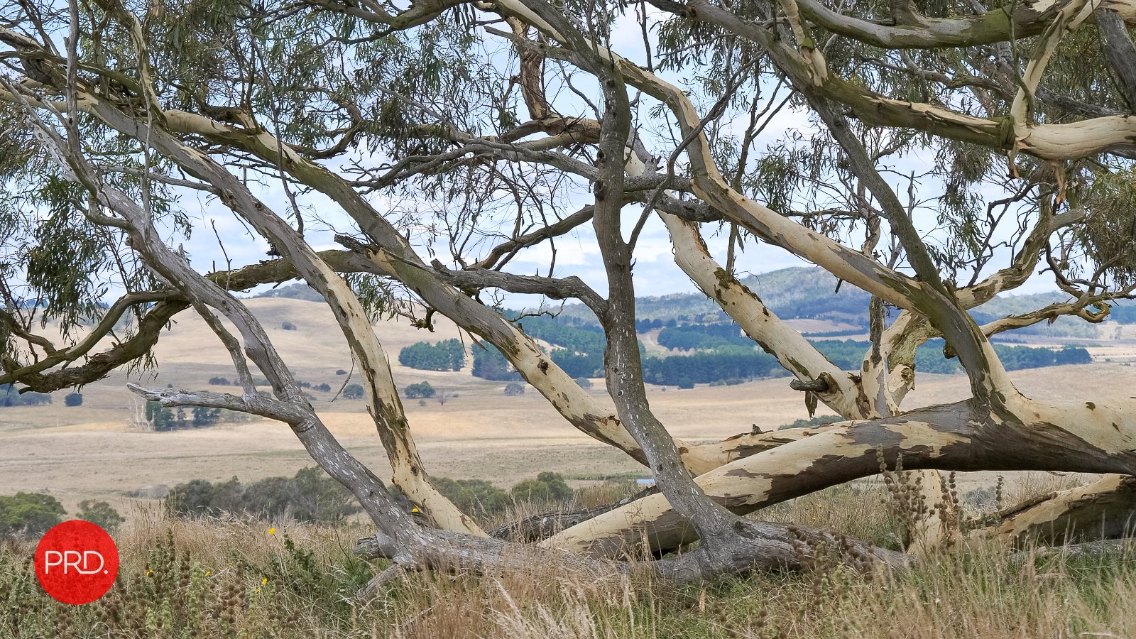 2287 Bungendore Road TARAGO 14