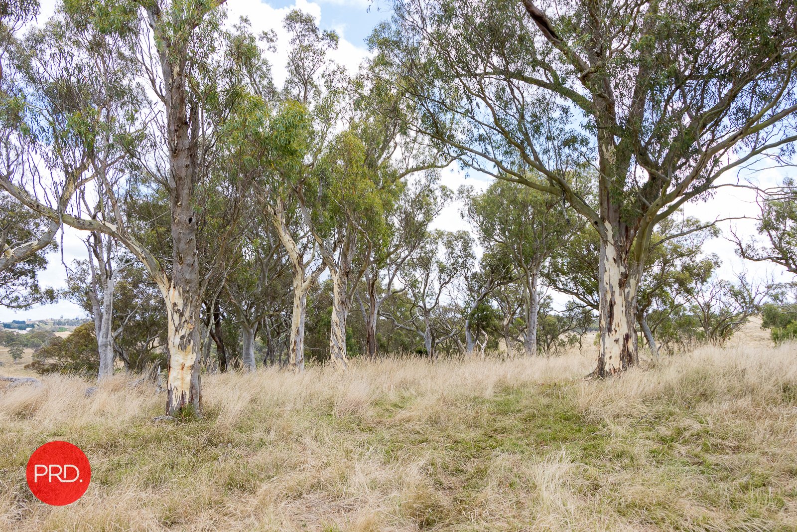 2287 Bungendore Road TARAGO 15