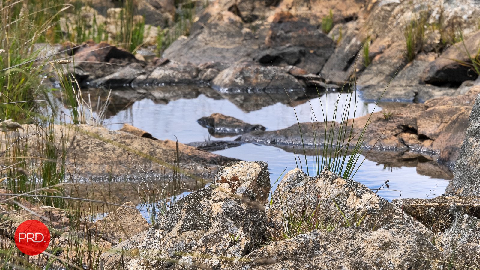 2287 Bungendore Road TARAGO 16