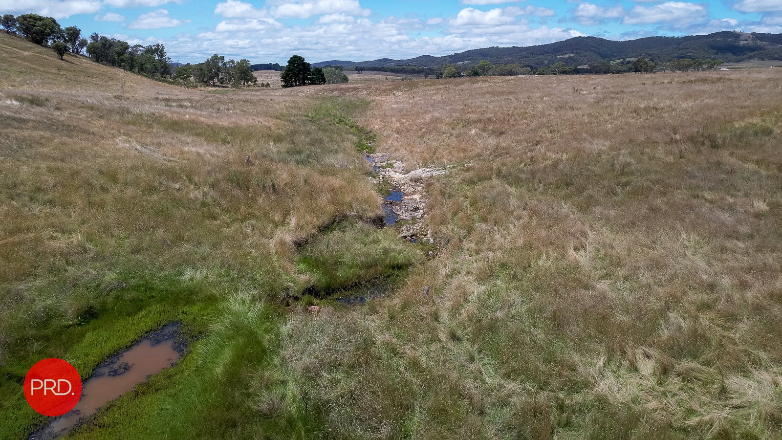 2287 Bungendore Road TARAGO 17