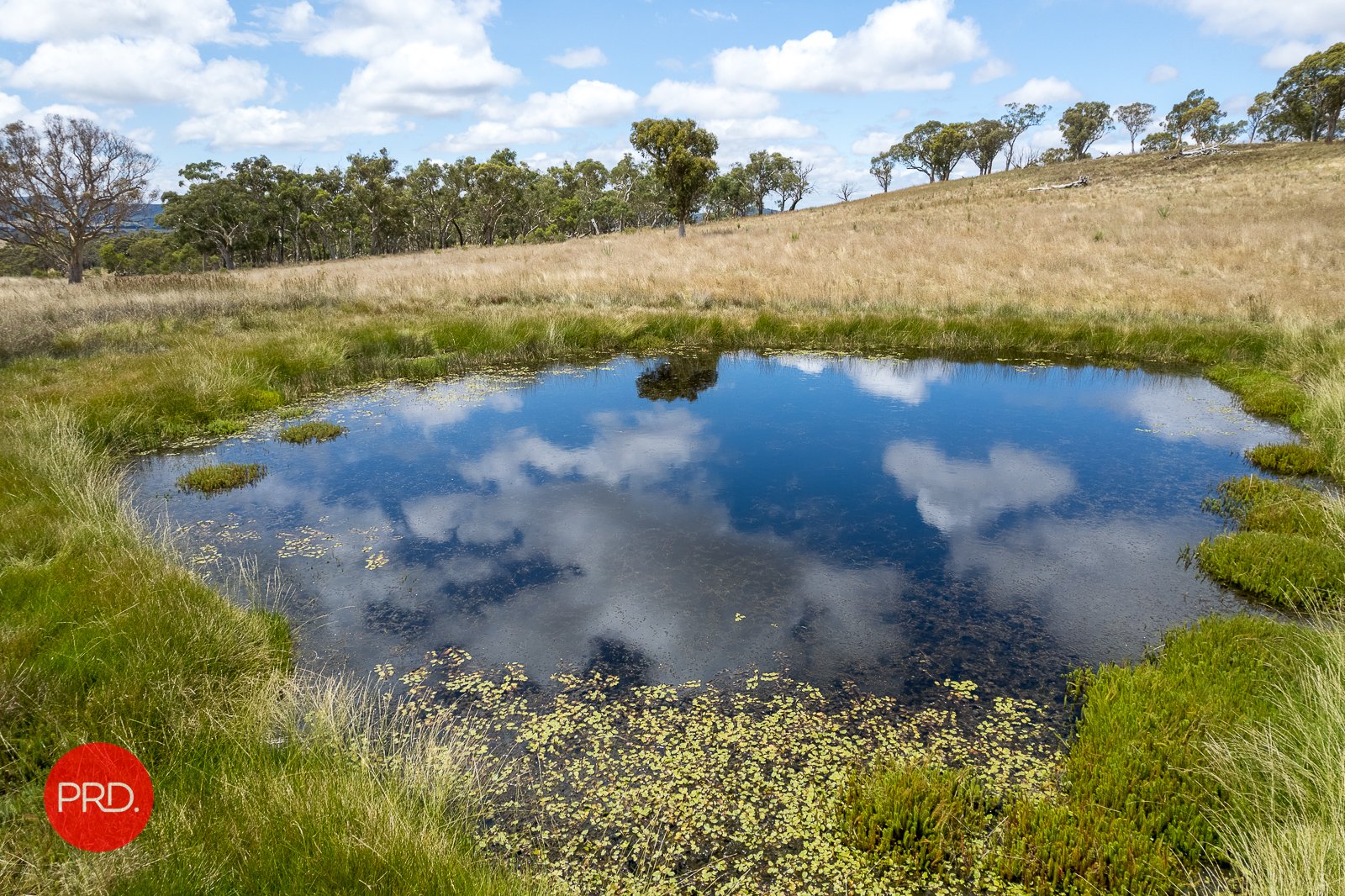 2287 Bungendore Road TARAGO 18