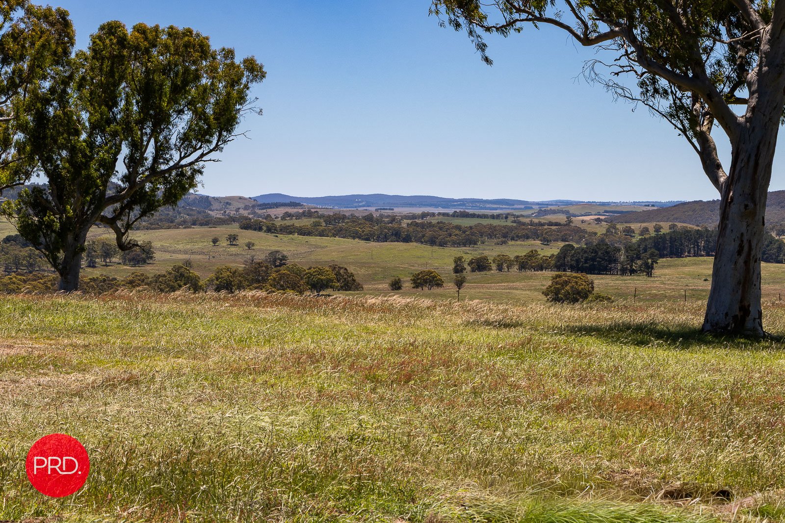 2287 Bungendore Road TARAGO 10