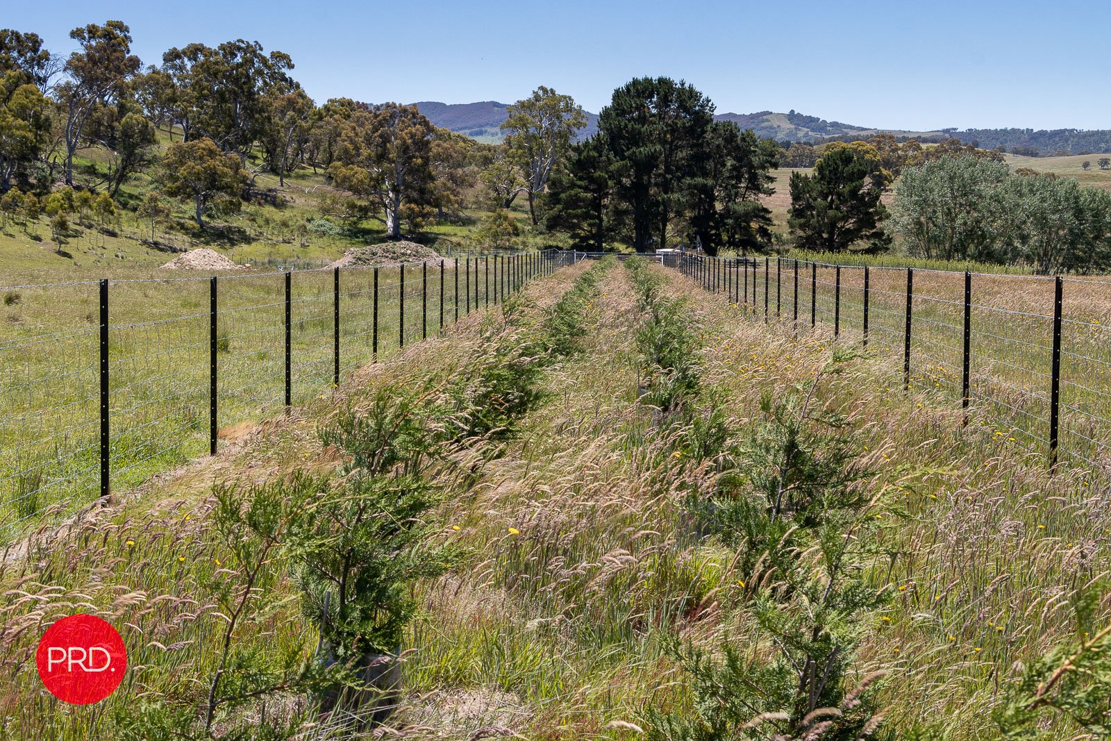 2287 Bungendore Road TARAGO 11