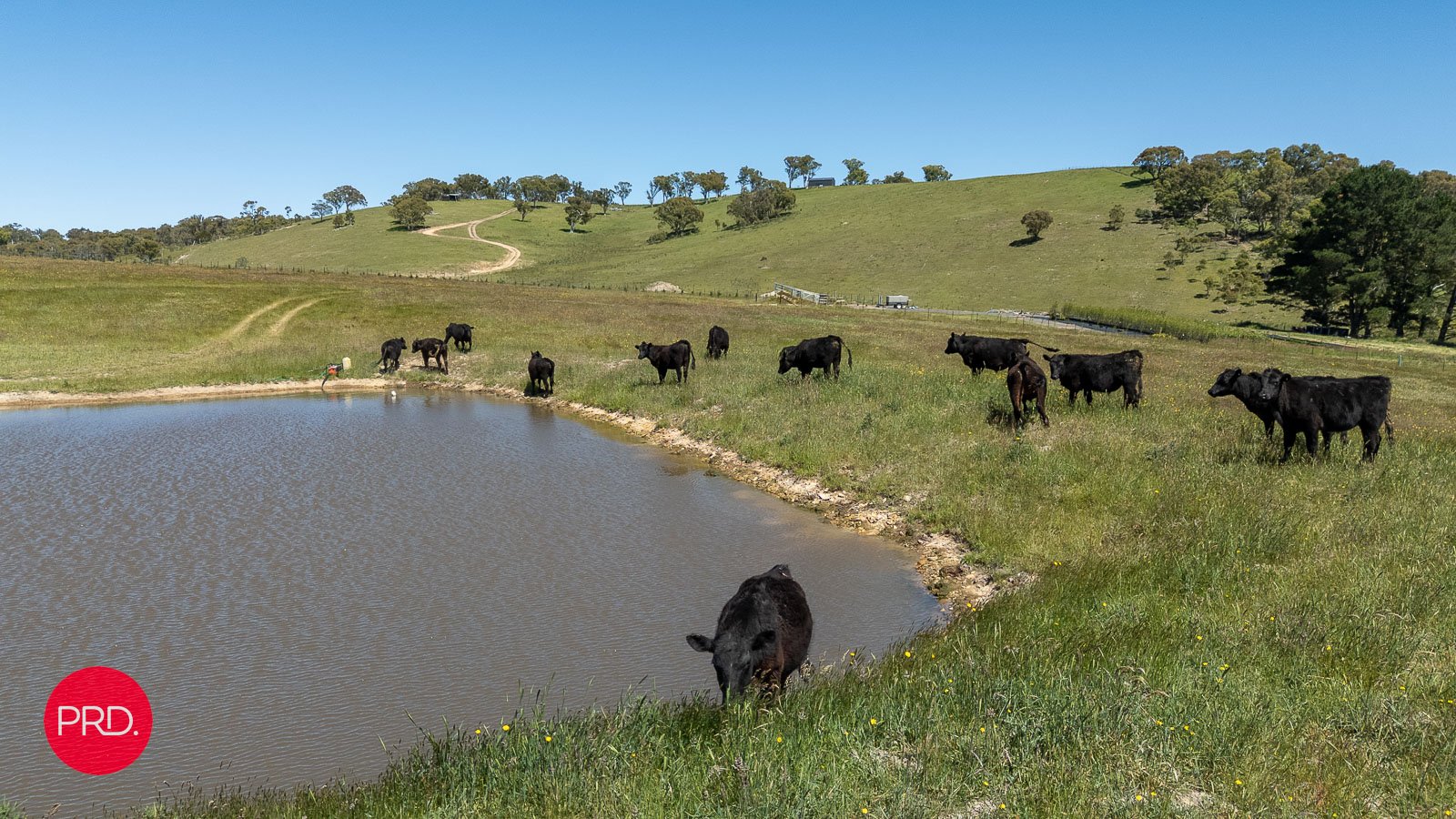 2287 Bungendore Road TARAGO 13