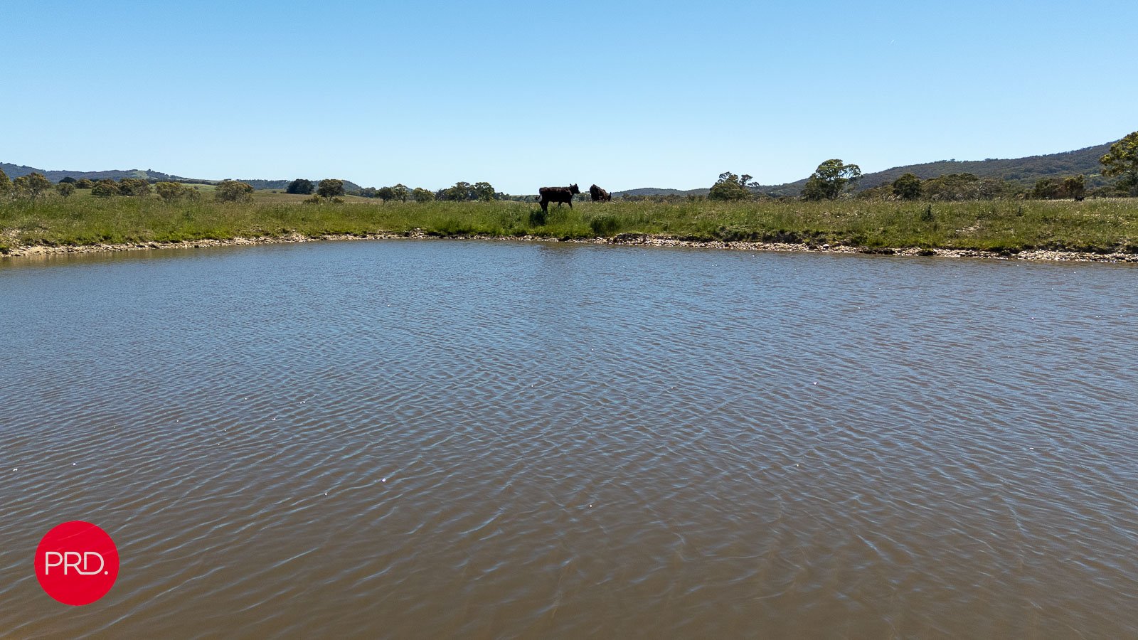 2287 Bungendore Road TARAGO 14