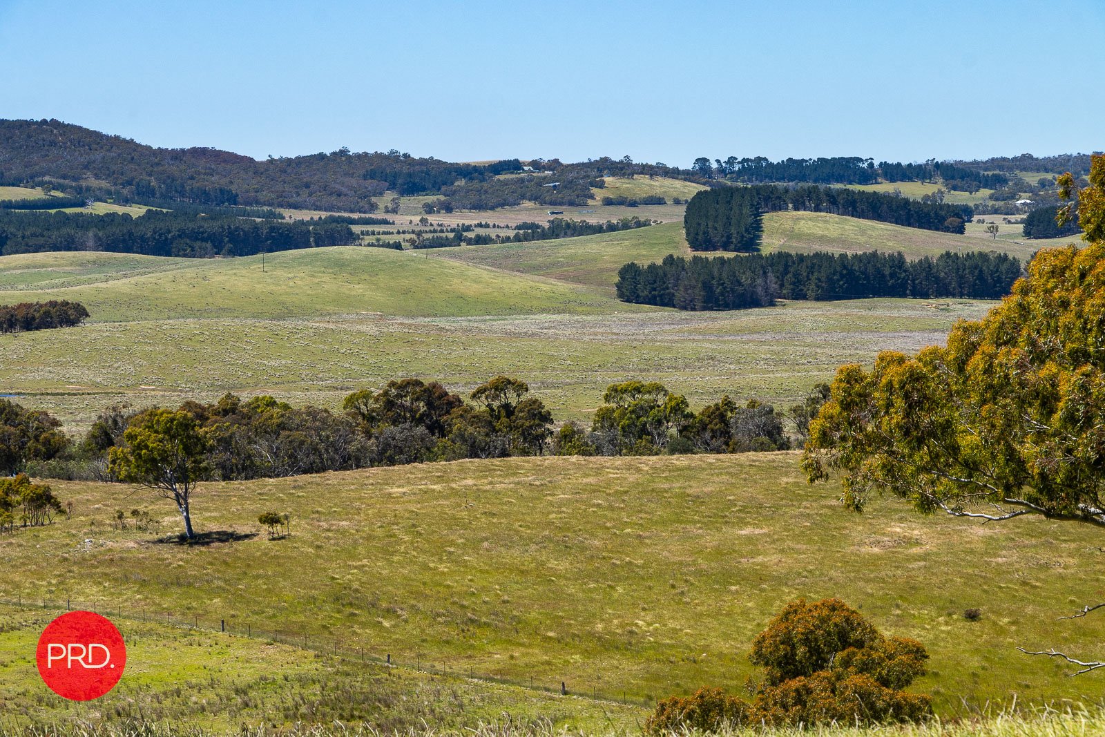 2287 Bungendore Road TARAGO 16