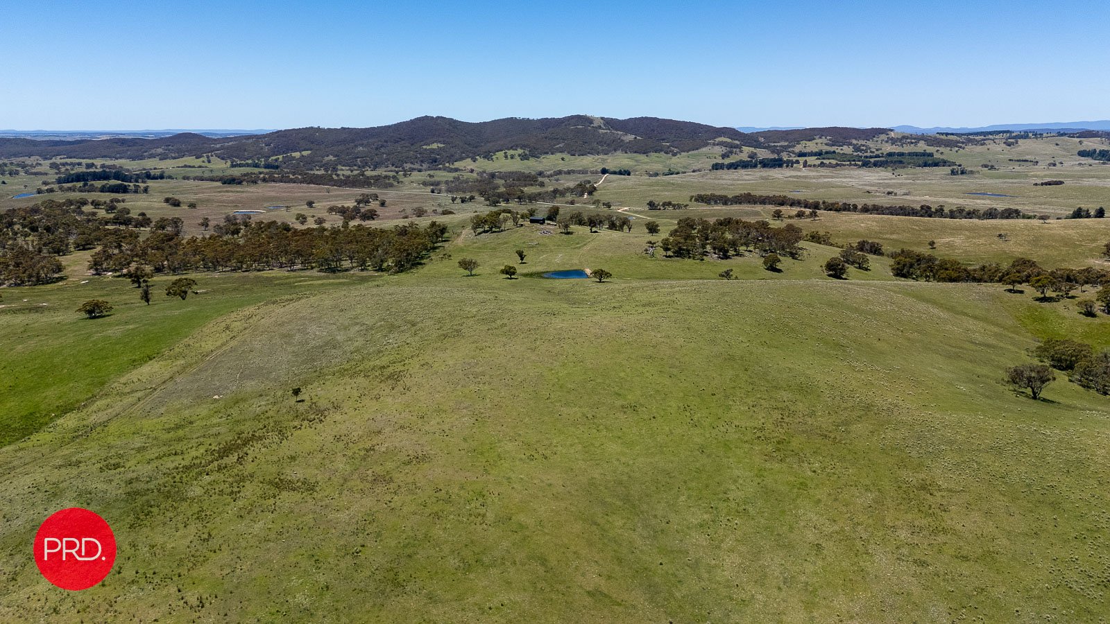 2287 Bungendore Road TARAGO 19