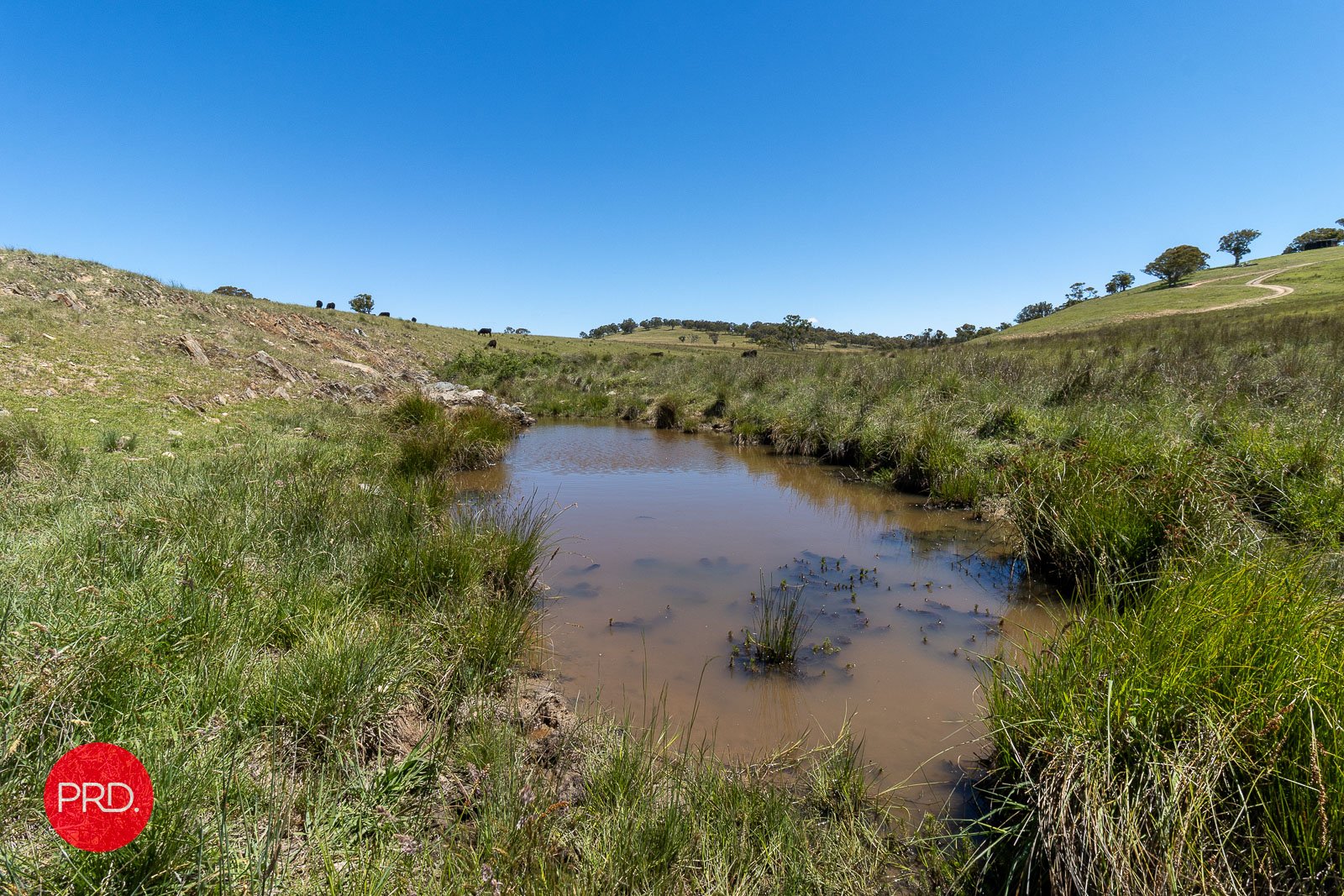 2287 Bungendore Road TARAGO 27