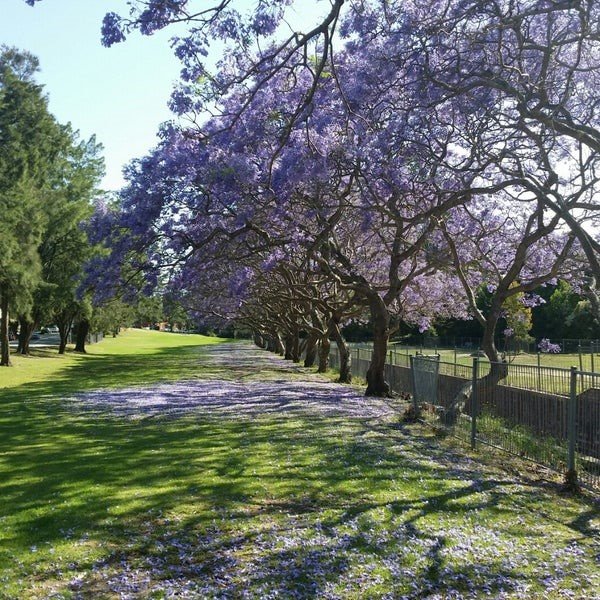 2/29-31 Warialda Street KOGARAH 9