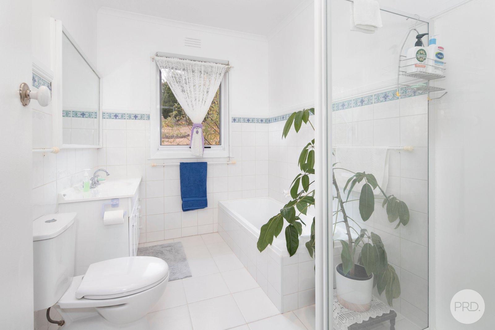 229 Flagstaff Ridge Road LINTON 11