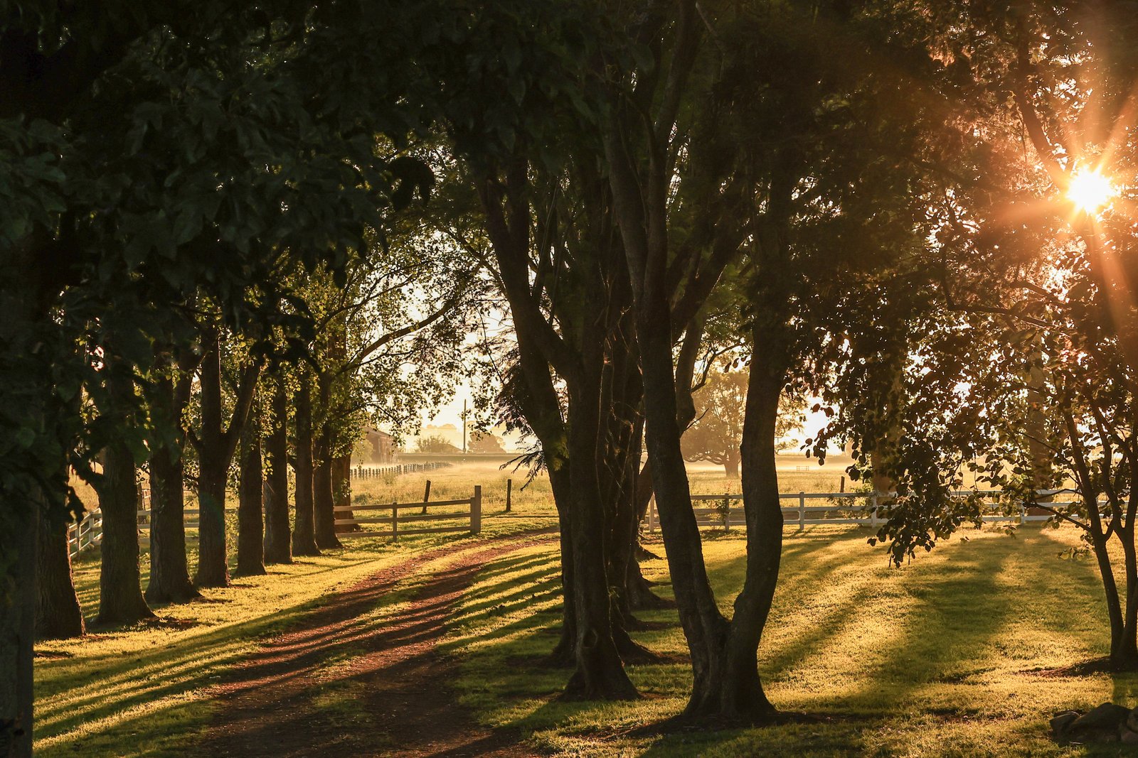 229 Glenarvon Road LORN 3