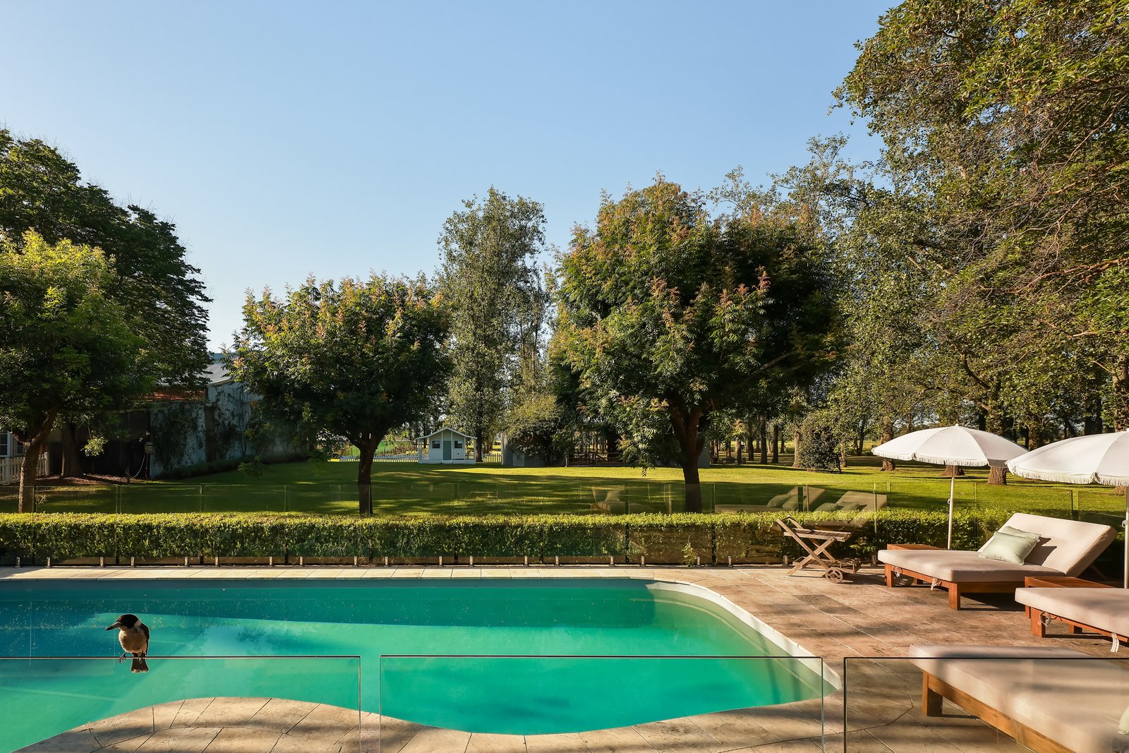 229 Glenarvon Road LORN 4