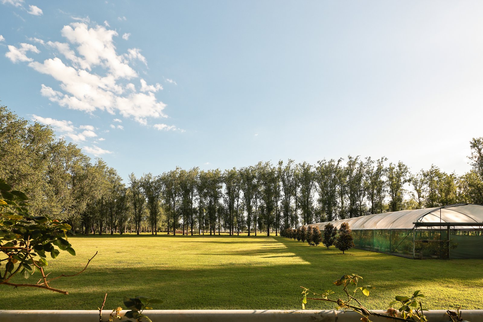 229 Glenarvon Road LORN 22