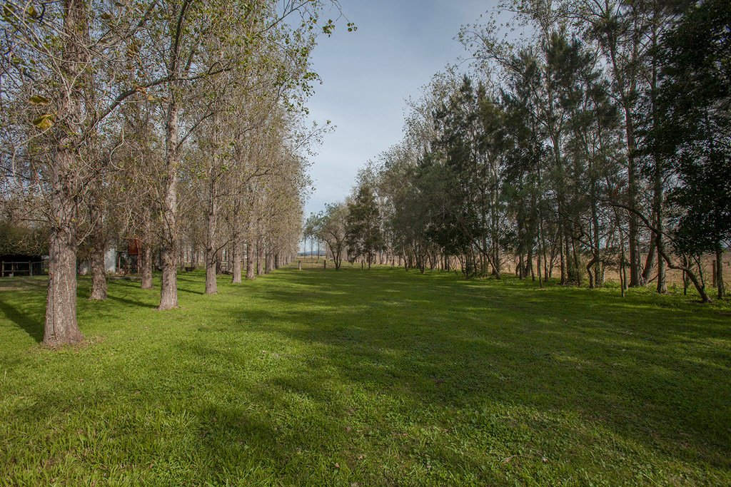 229 Glenarvon Road LORN 22