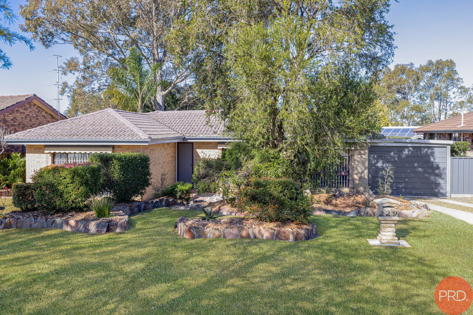 229 Paterson Road BOLWARRA HEIGHTS 1