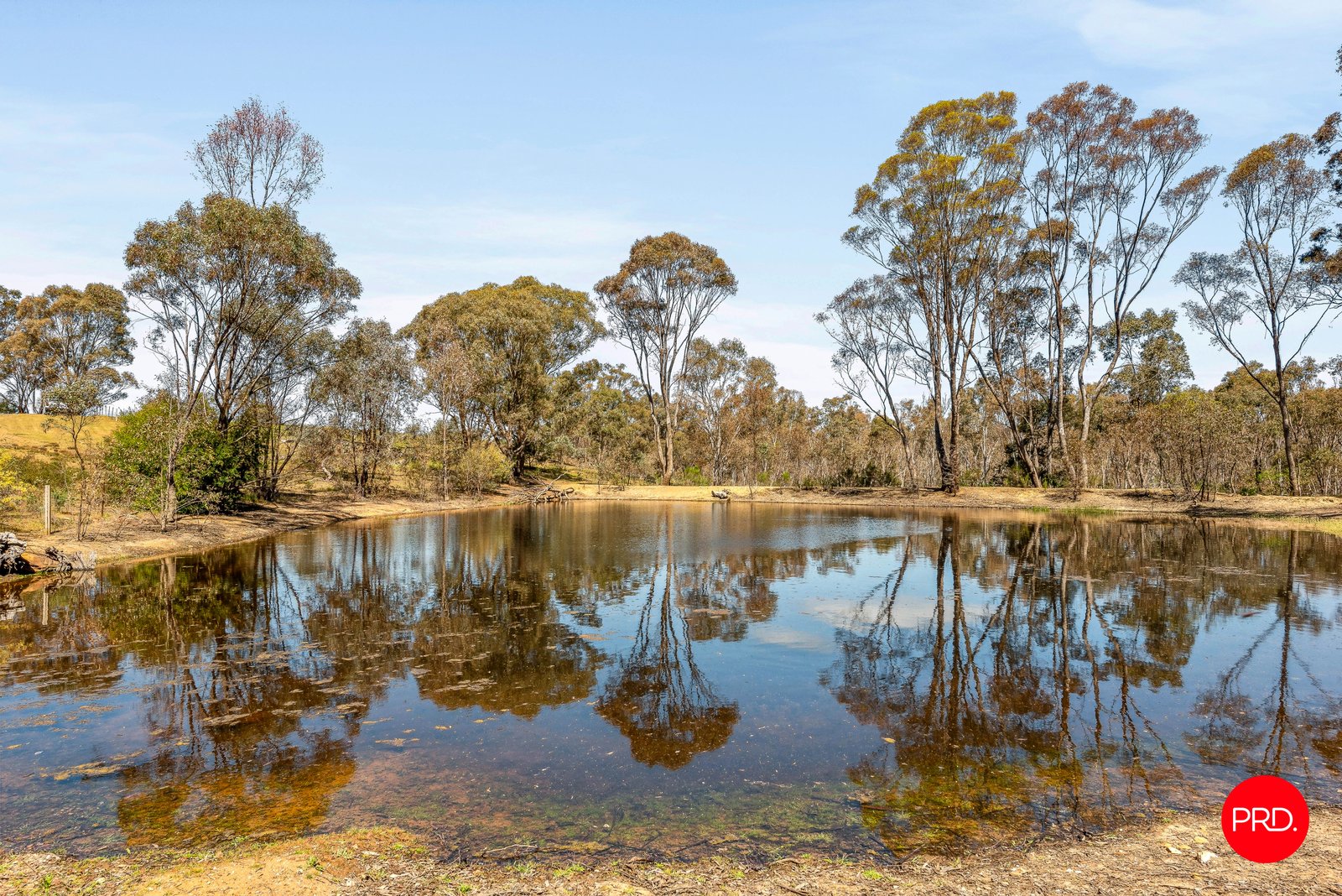 229 Red Tank Road EMU CREEK 20