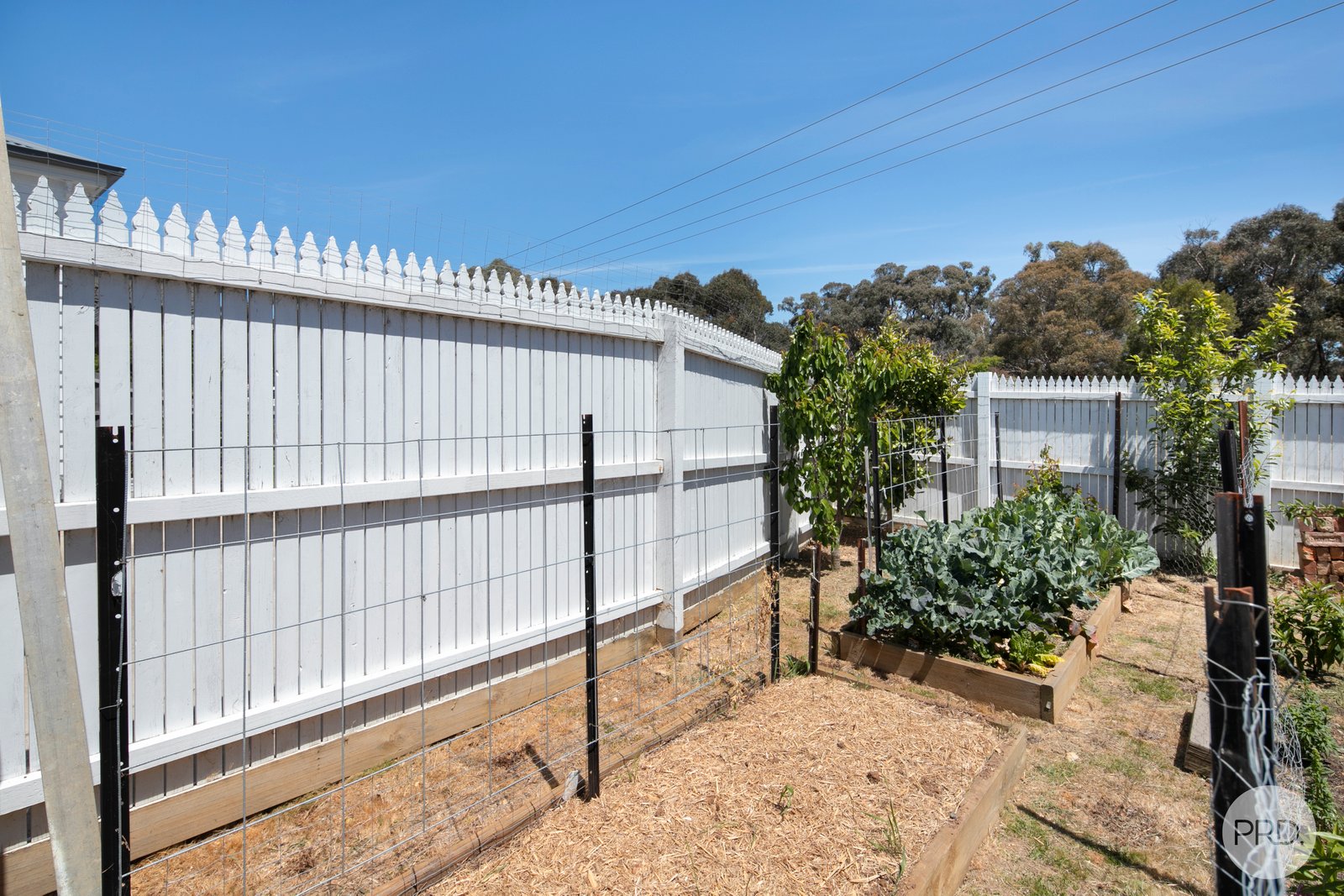 22A Gardiner Street CRESWICK 19