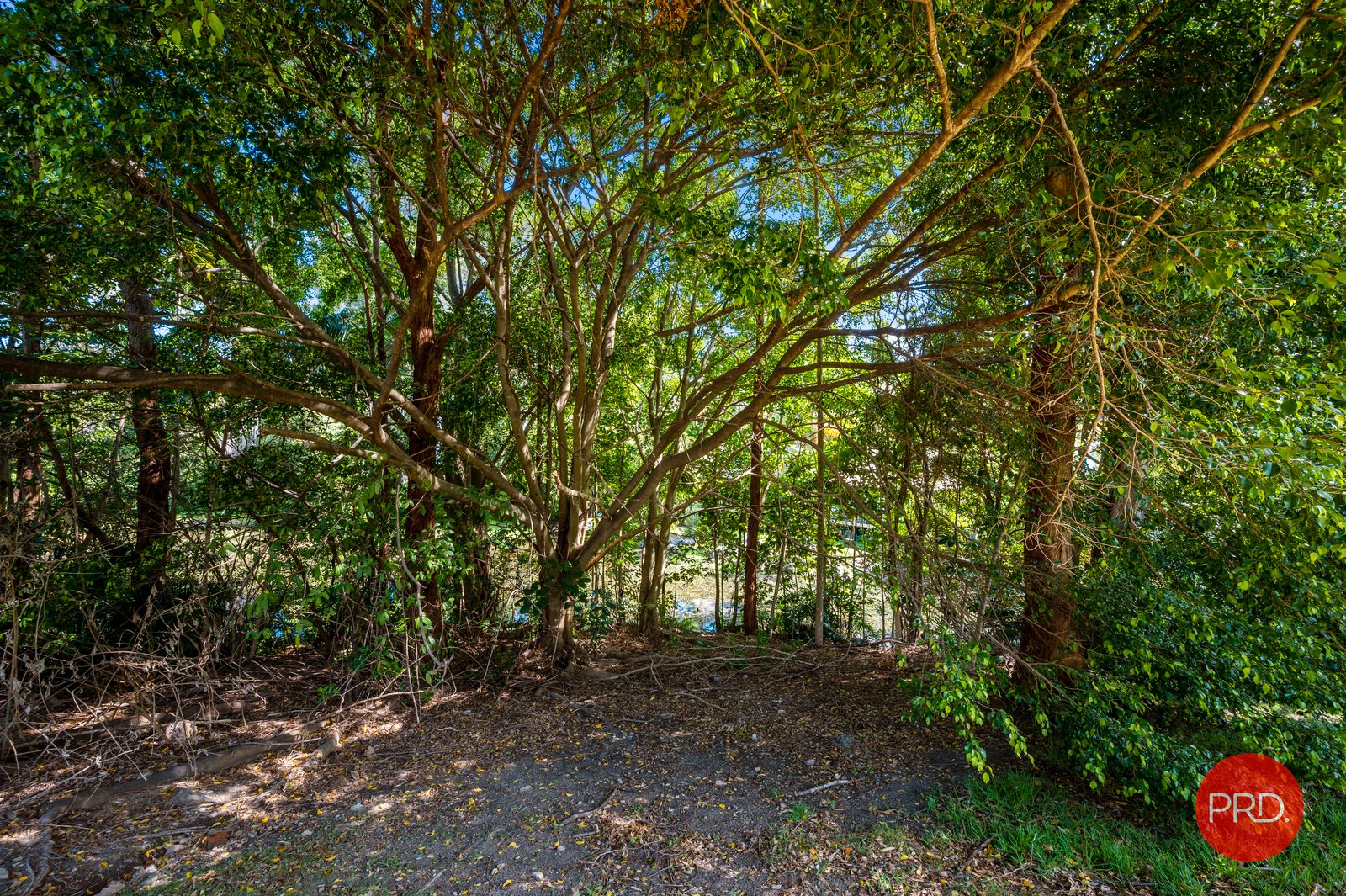 2/2A Norman Hill Drive KORORA 15