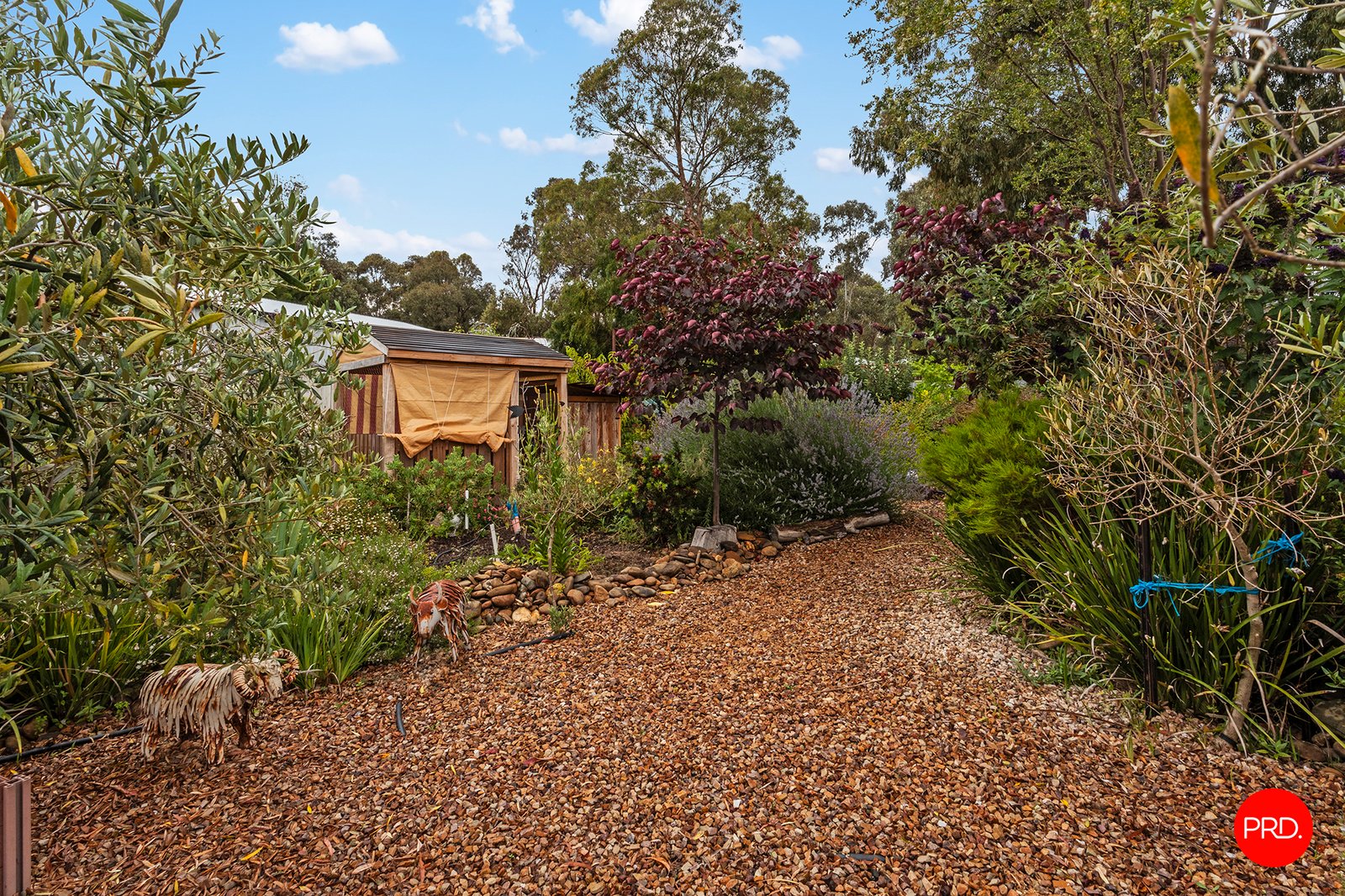 23 Bedarra Court MAIDEN GULLY 31