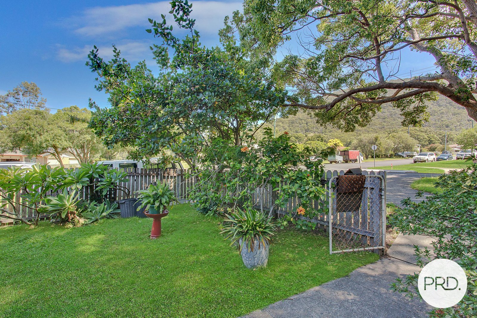 23 Bold Street LAURIETON 13