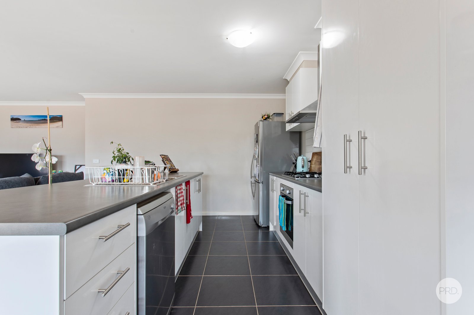 23 Bursaria Street JACKASS FLAT 3