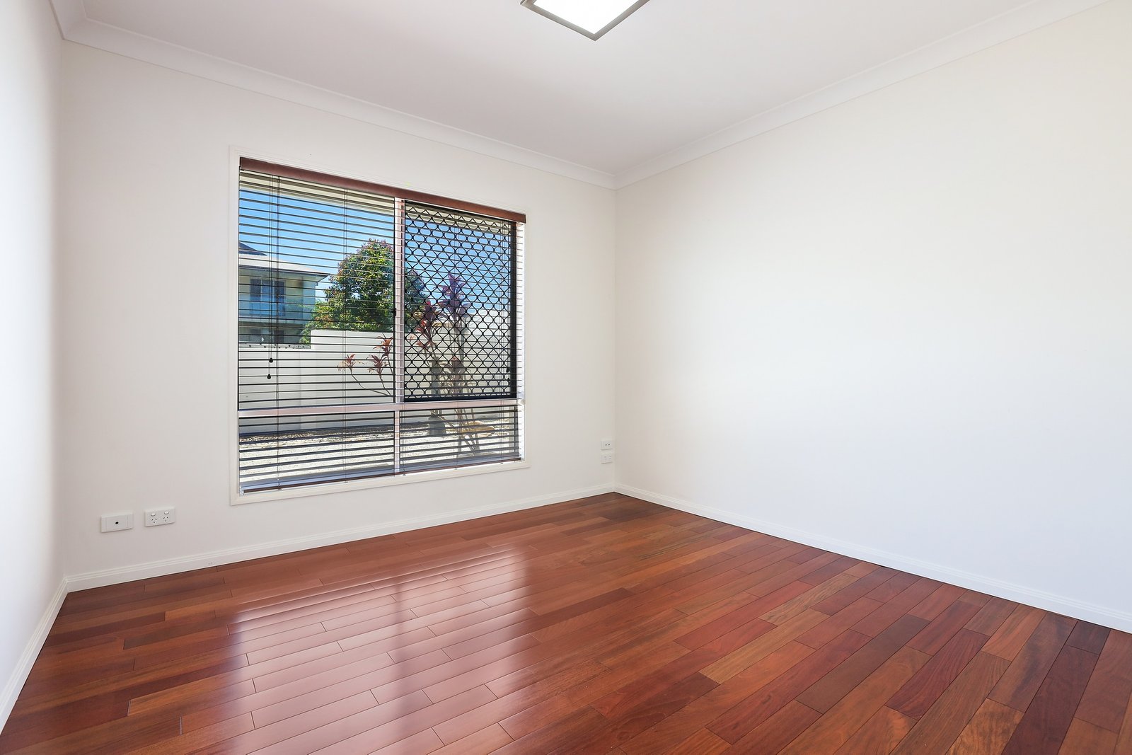 23 Casuarina Drive MOLENDINAR 11