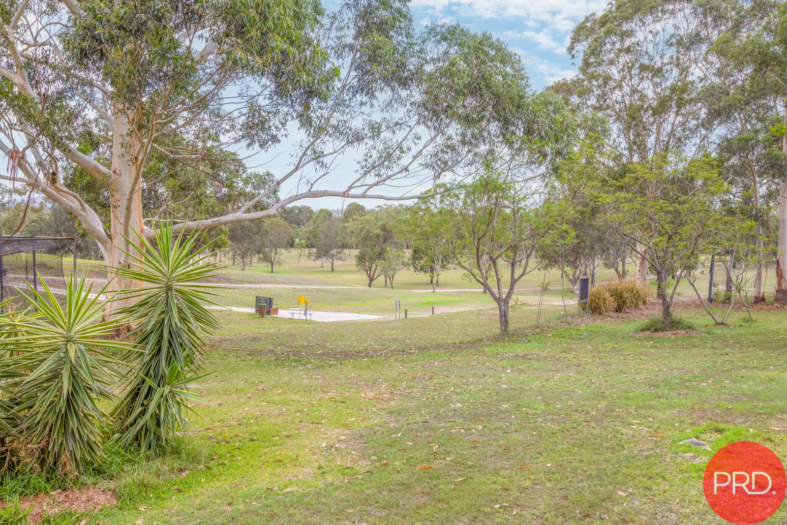 23 Cessnock Road BRANXTON 25