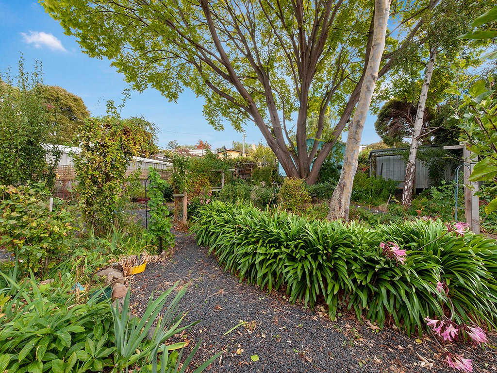 23 Chippendale Street CLAREMONT 17